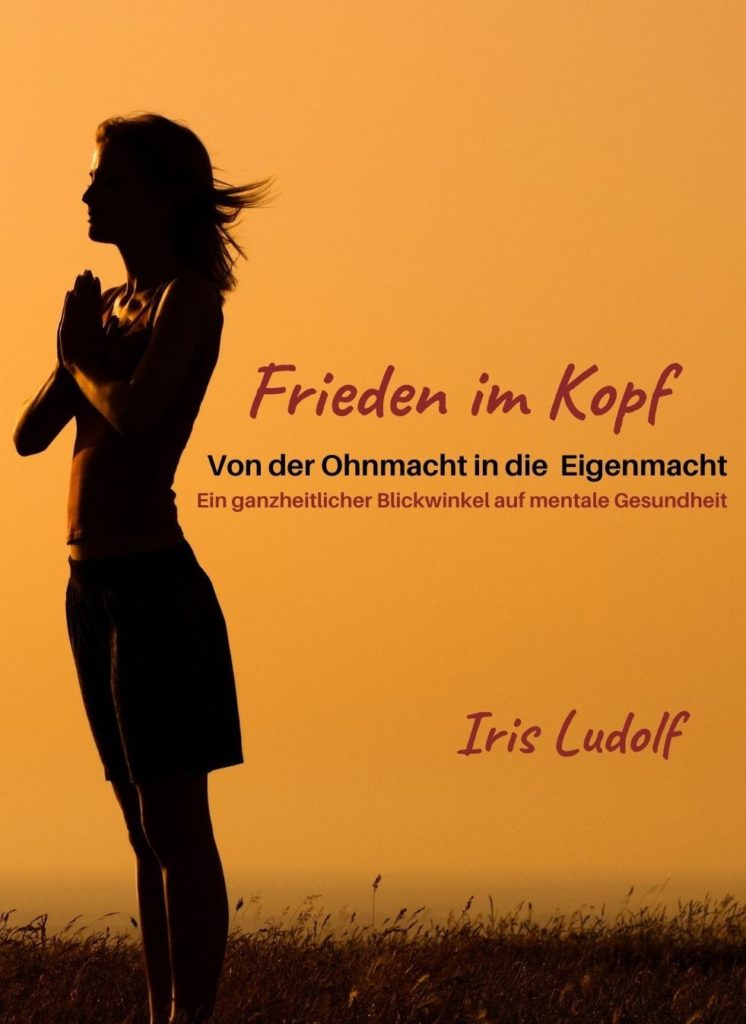 Iris Ludolf Frieden im Kopf - Buch