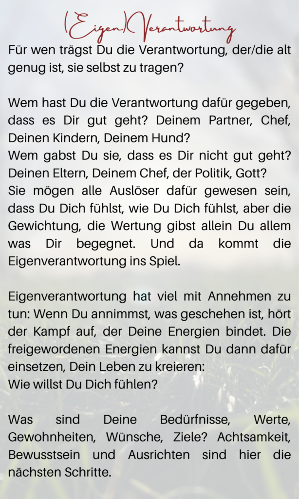 (Eigen-)Verantwortung. Mein Weg zu mir. Wege aus dem Trauma | Kartendeck | Iris Ludolf | Friedensberaterin