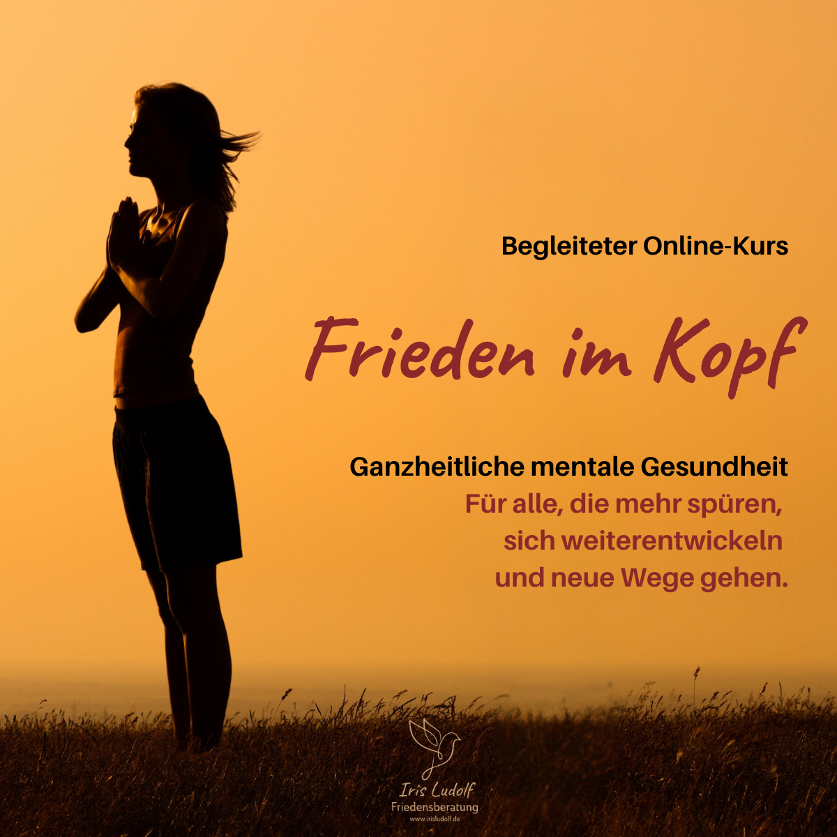 Frieden im Kopf - Begleiteter Online-Kurs