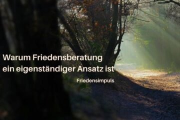 Beitragsbild Artikel 12 - Warum Friedensberatung ein eigenständiger Ansatz ist