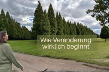 Wie Veränderung wirklich beginnt | Iris Ludolf | Friedensberatung