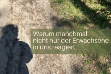 Warum manchmal nicht nur der Erwachsene in uns reagiert | Iris Ludolf | Friedensberatung