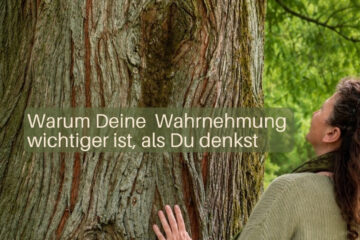 Artikel Titelbild