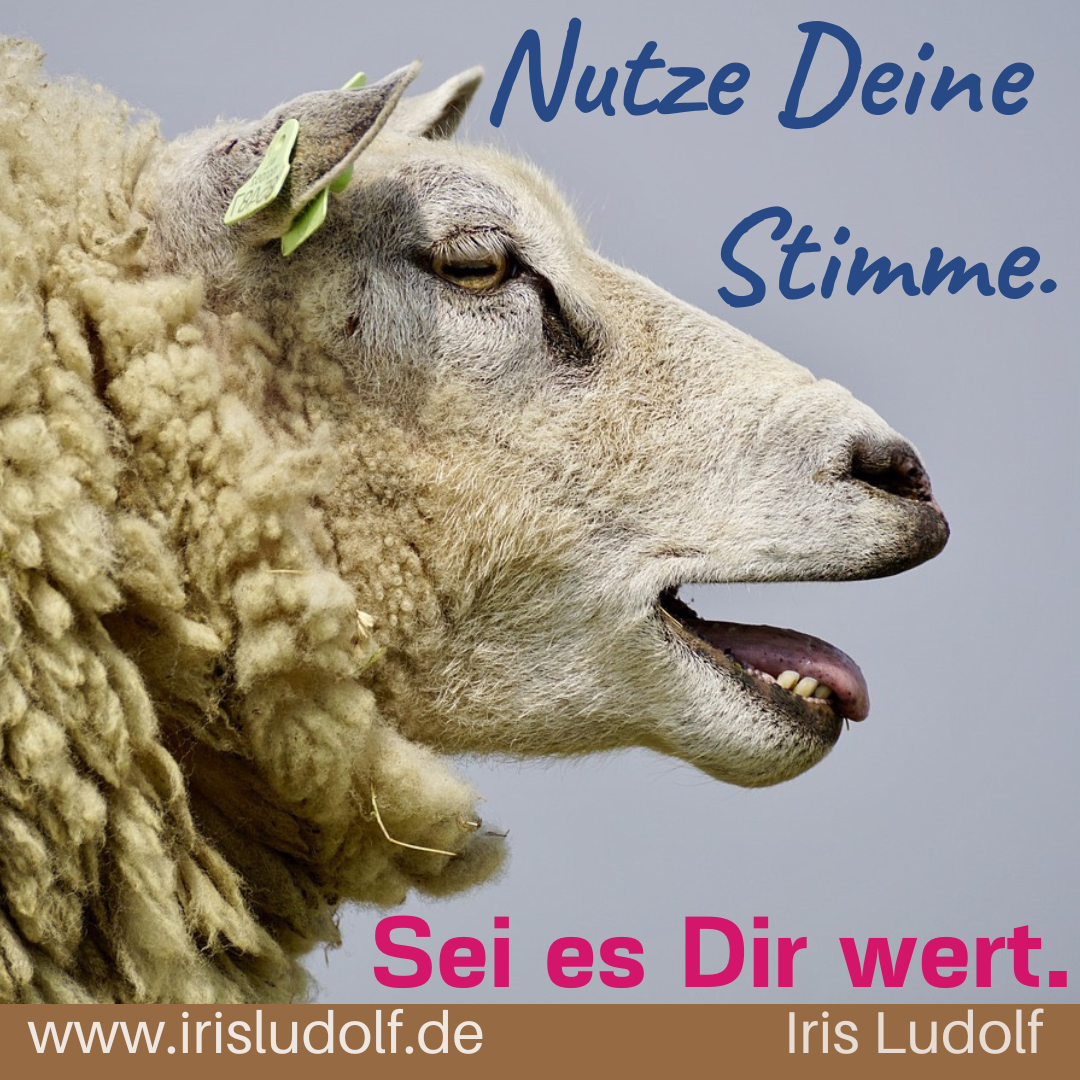 Sei es Dir wert Botschaft: Nutze Deine Stimme